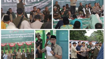 *Pemerintah Bangun Pembatas 138 Km di Way Kambas, Solusi Permanen Konflik Gajah dan Manusia*