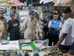 *Bed Dryer Beroperasi di Rawa Jitu Selatan, Dorong Hilirisasi Pertanian dan Kesejahteraan Petani di Tulang Bawang*